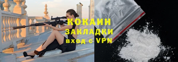 гидра Новозыбков