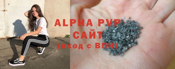 гидра Новозыбков