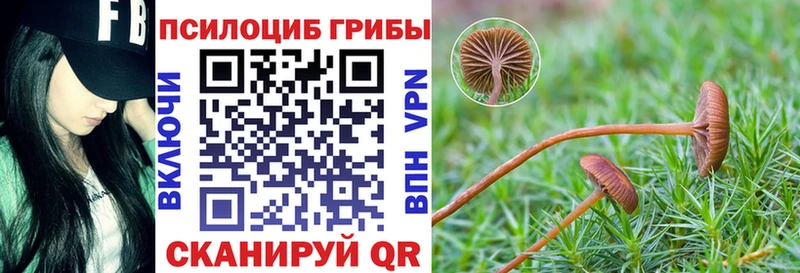 блэк спрут как зайти  Шумиха  Псилоцибиновые грибы мухоморы 