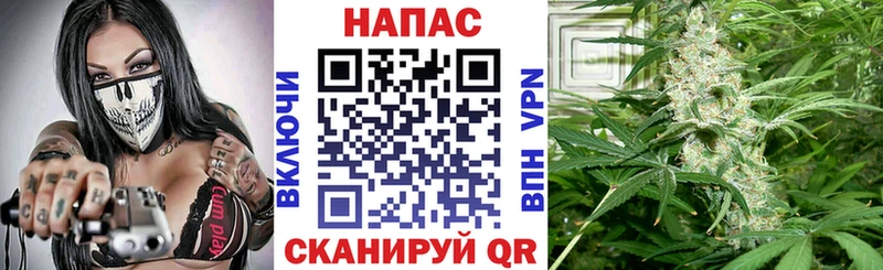 Каннабис план  Шумиха 